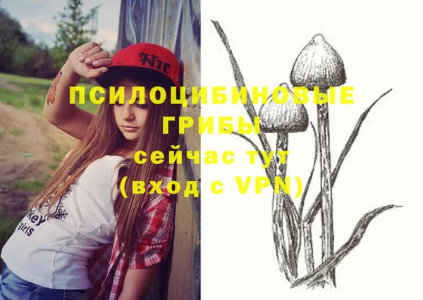 a pvp Богородск