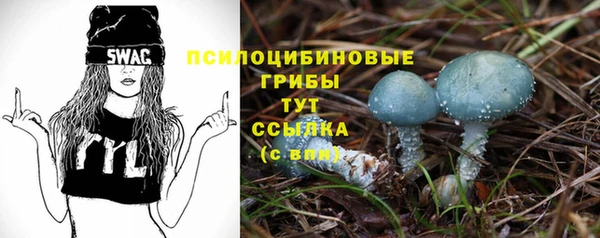 экстази Богородицк