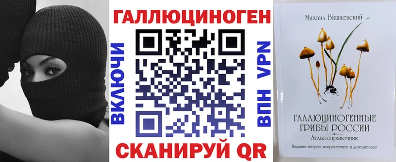 Псилоцибиновые грибы Psilocybe  Купить закладки  Мезень 